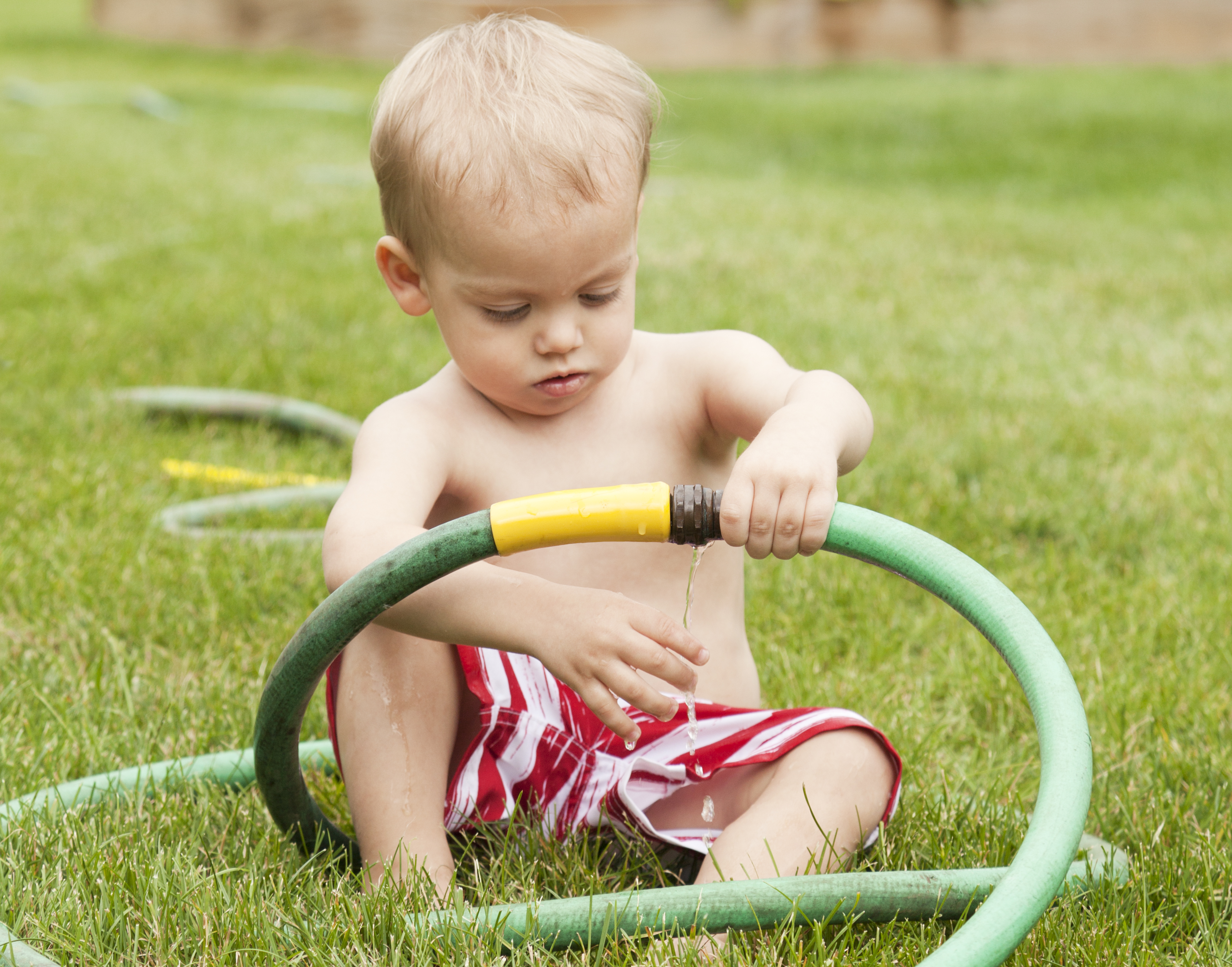 Baby plays with leaking garden hose. Young boy plays with the water dripping from a leaking garden hose. Backyard photo. He's wearing a red and white stiped bathing suit is very intent on grabbing the water. Focus is on the dripping water. Short DOF.