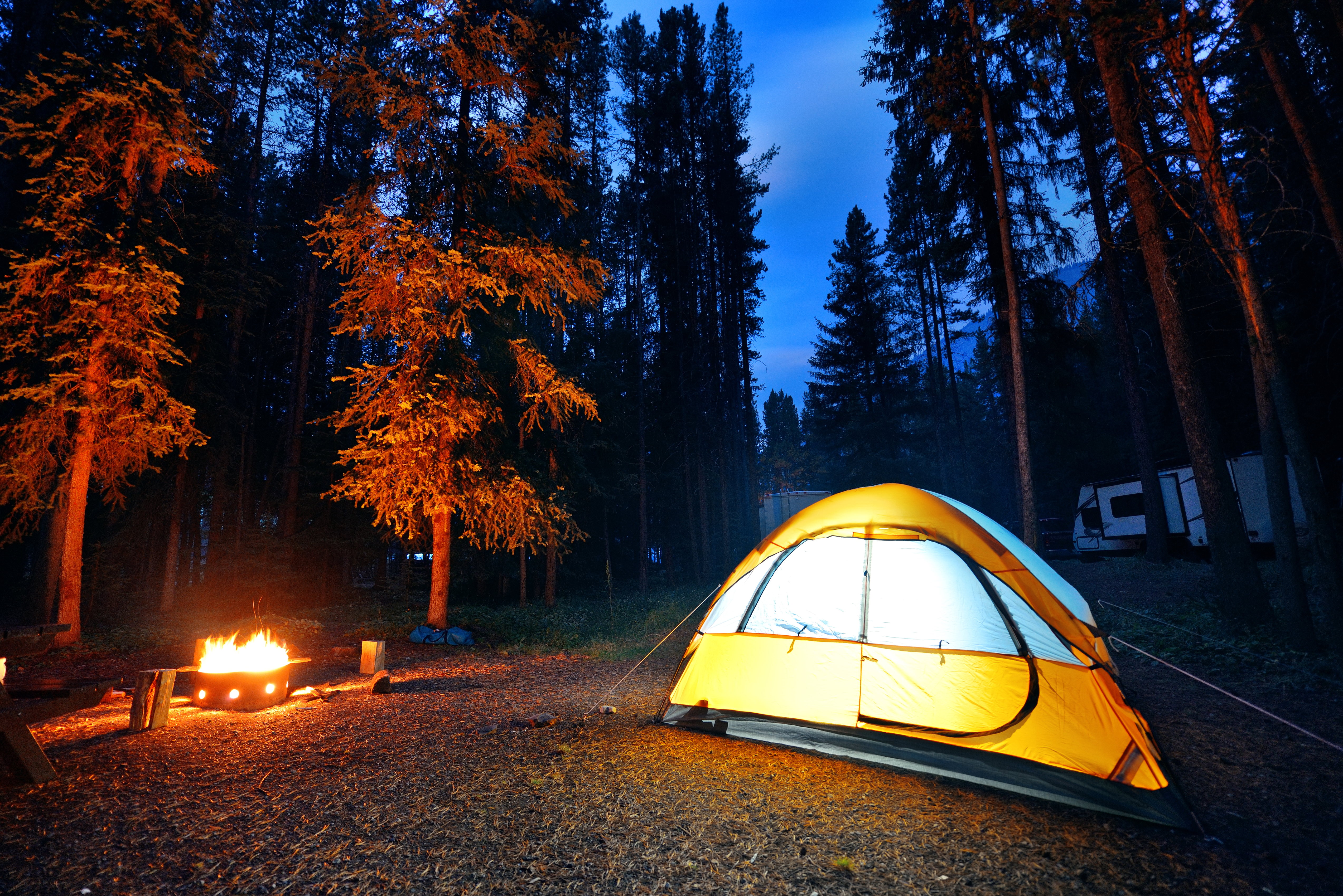 Camping in forest with tent light and bonfire in Banff National Park